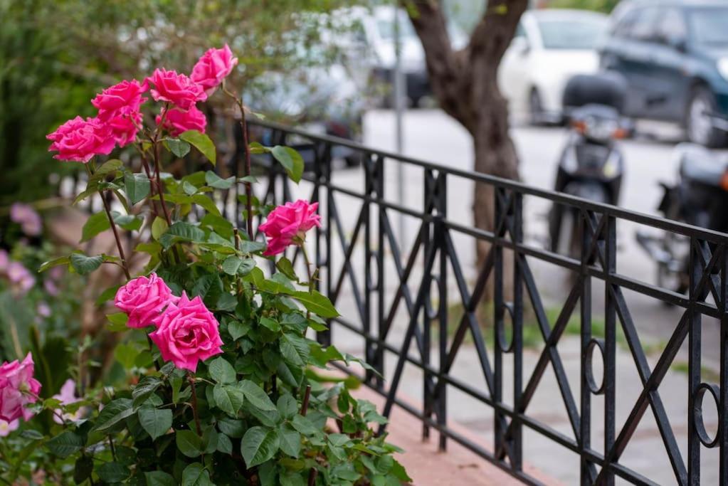 شقة Art Of Urban Hospitality! Mytilíni المظهر الخارجي الصورة